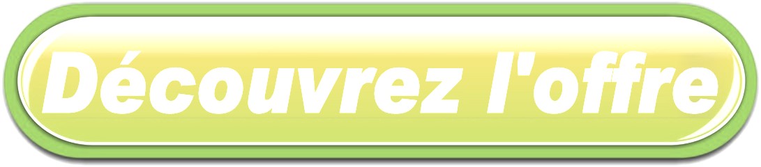BOUTON LIVRAISON FLEURS A OUZOUER-DES-CHAMPS