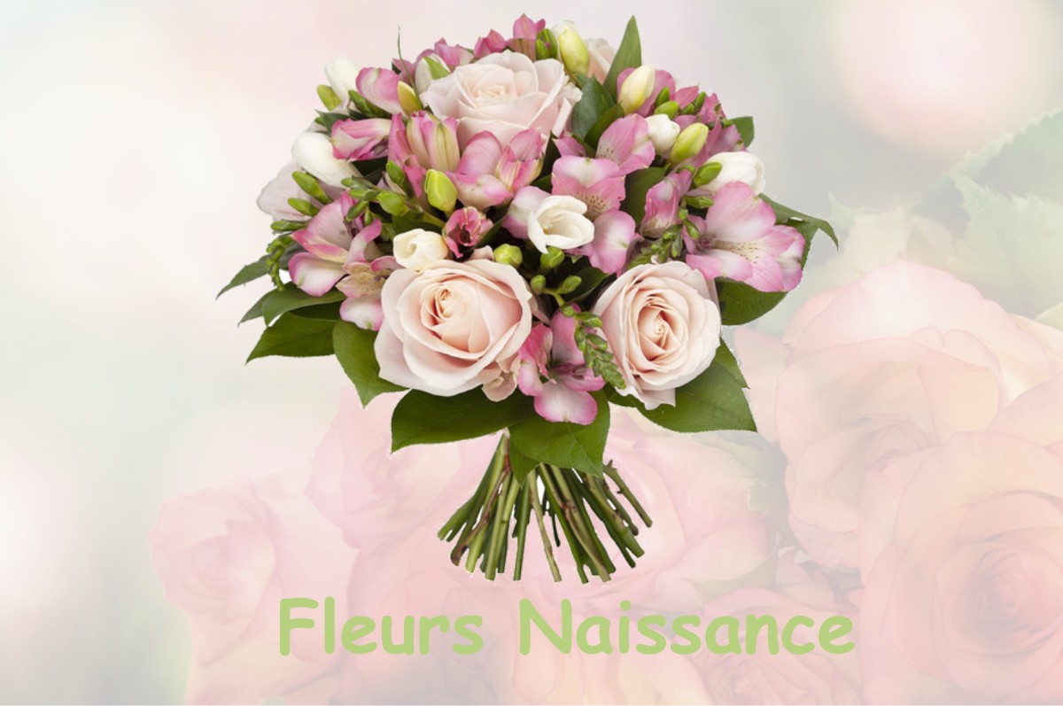 fleurs naissance OUZOUER-DES-CHAMPS