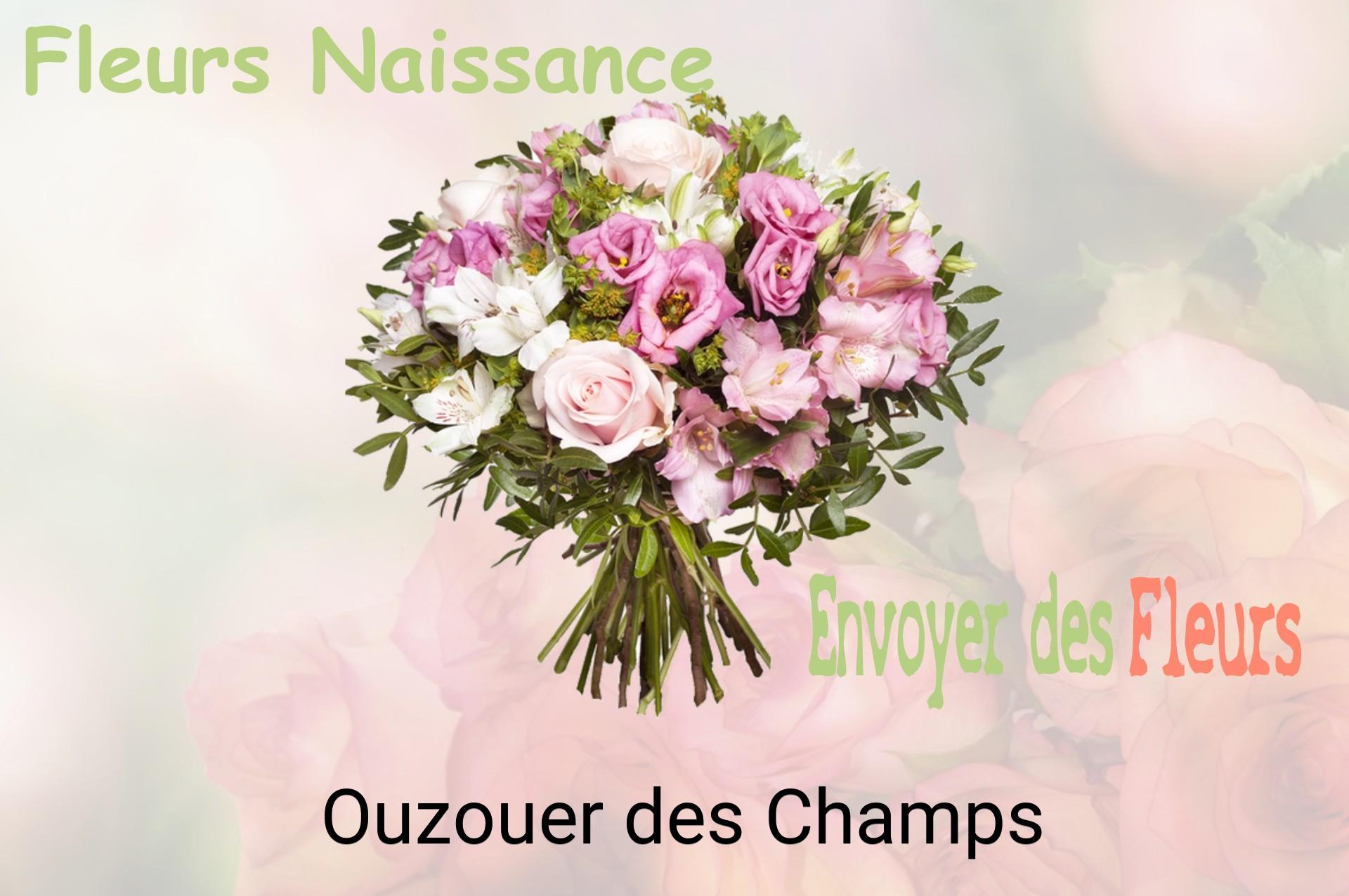 Bouquet de fleurs de naissance livré à Ouzouer-des-Champs