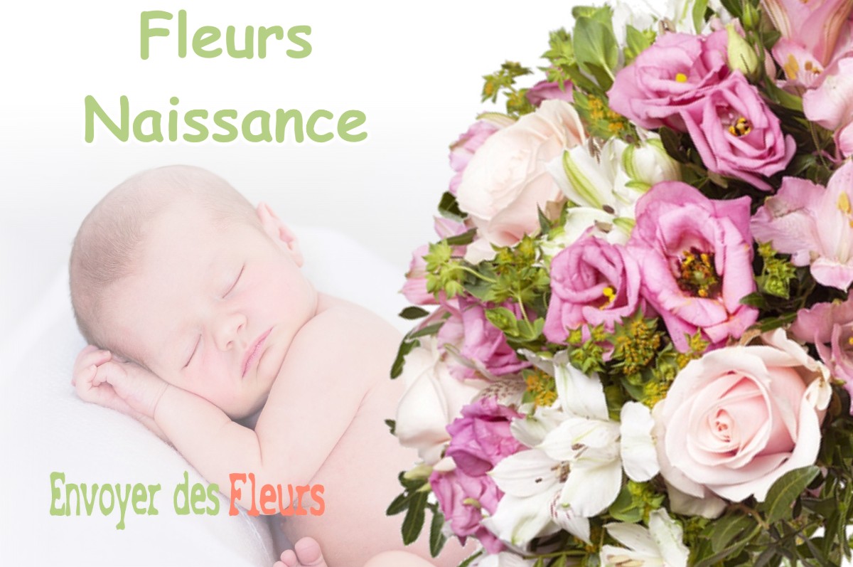 lIVRAISON FLEURS NAISSANCE à OUZOUER-DES-CHAMPS