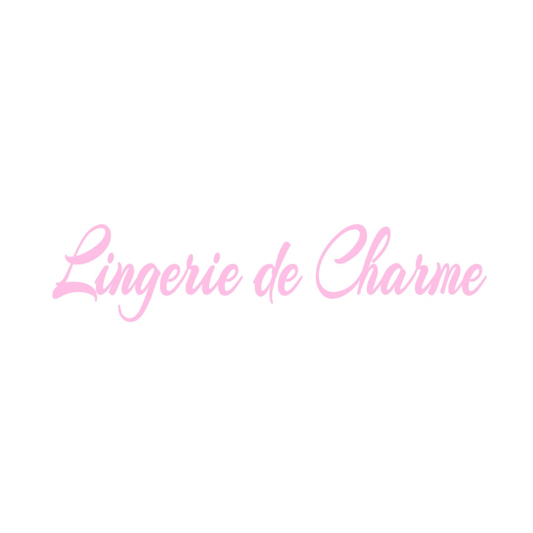 LINGERIE DE CHARME OUZOUER-DES-CHAMPS