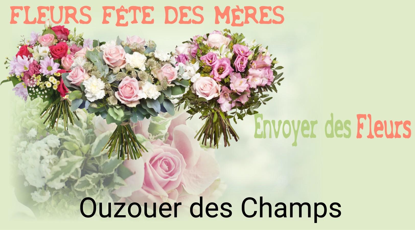 Bouquet de Fête des Mères livré à Ouzouer-des-Champs